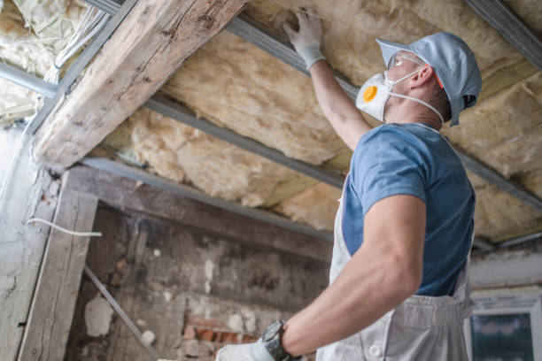 Best Geographic-Specific Insulation Services in Hoer, OK